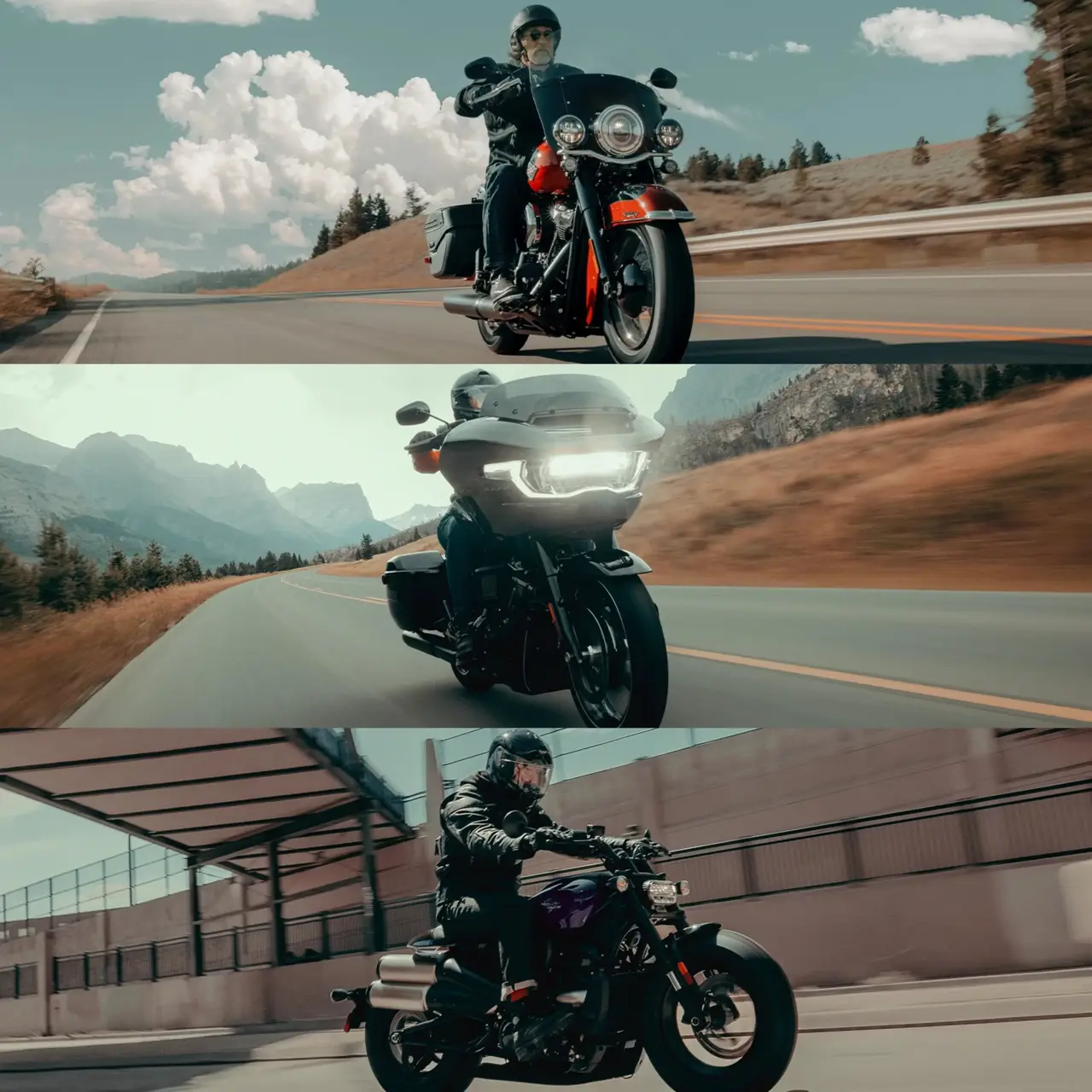 Tipos de motos Harley-Davidson: cruiser, touring y sport.